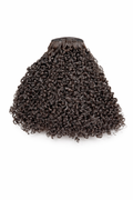 Fiji curly bundle